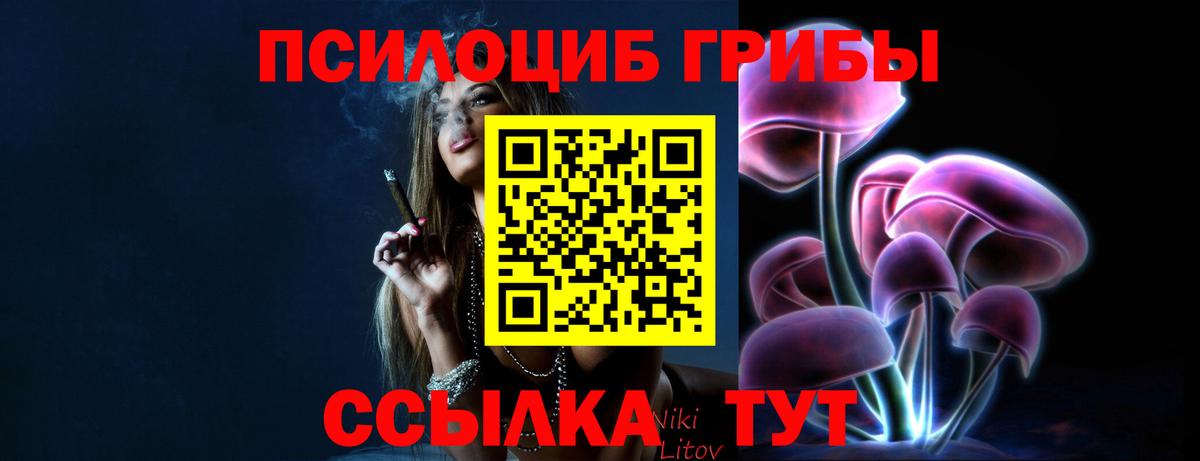 Псилоцибиновые грибы прущие грибы  Псилоцибиновые грибы мицелий  Копейск  цены наркотик  Вход с VPN 